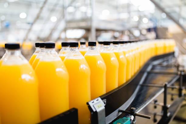 Esteira Industrial para Alimentos: 7 Vantagens Imperdíveis