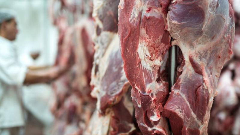 Esterilizador de Facas para Açougue: A Solução Ideal para Garantir Segurança e Higiene na Sua Cozinha
